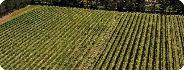Digital Tools Are Changing Farm Management